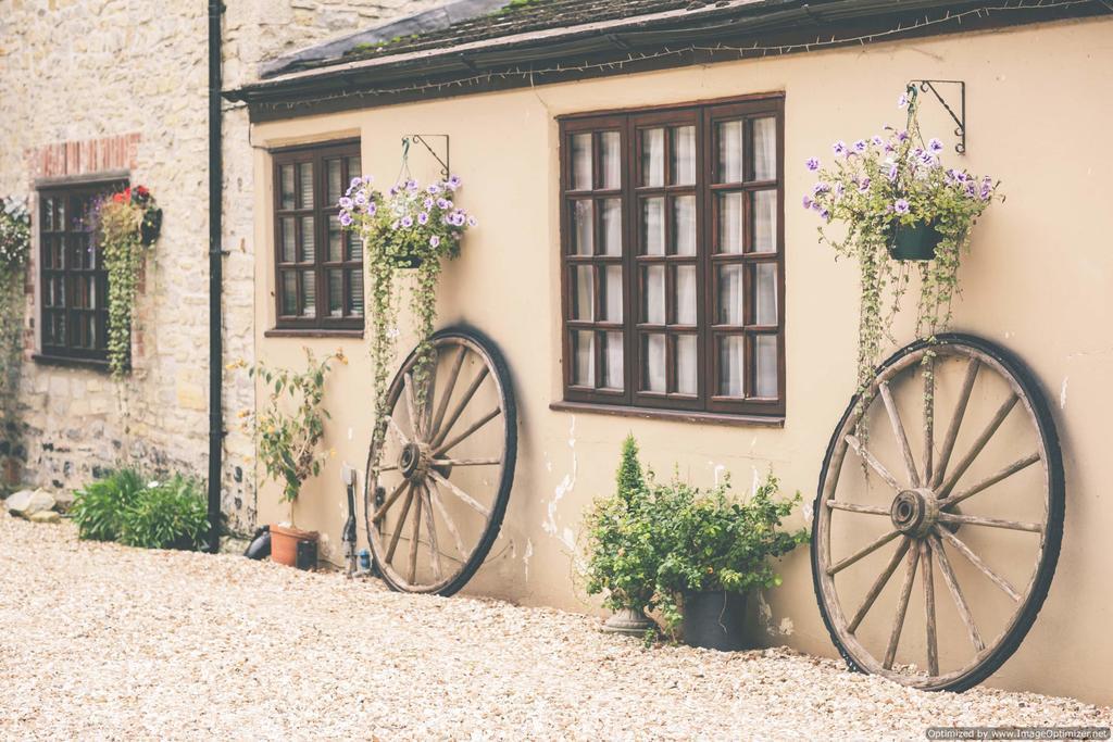 Weycroft Mill House Bed And Breakfast Axminster Eksteriør billede